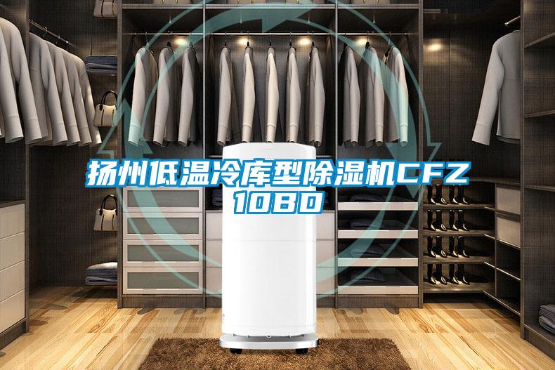 扬州低温冷库型粉色视频免费在线观看CFZ10BD