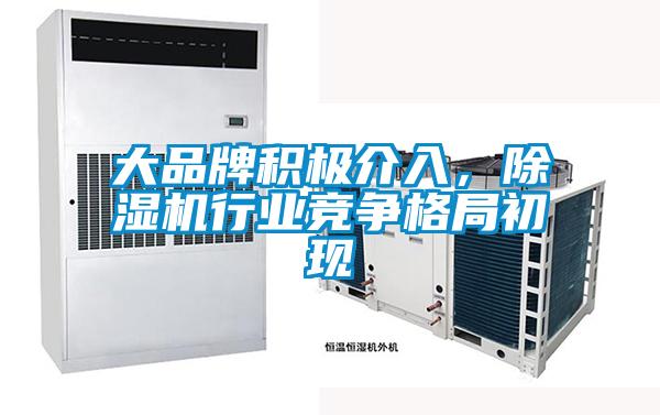 大品牌积极介入，粉色视频免费在线观看行业竞争格局初现