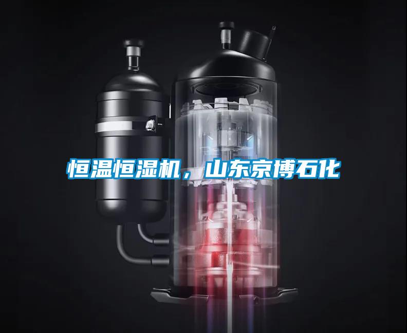 恒温恒湿机，山东京博石化