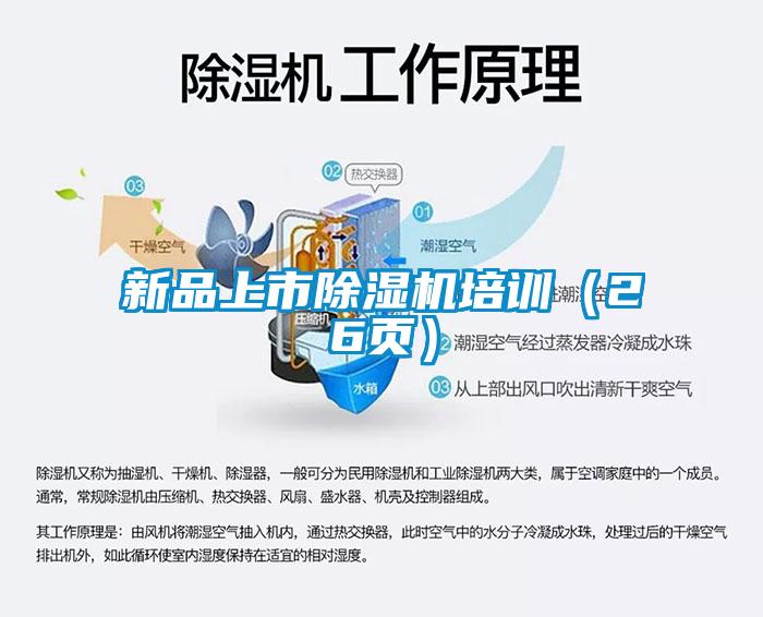 新品上市粉色视频免费在线观看培训（26页）