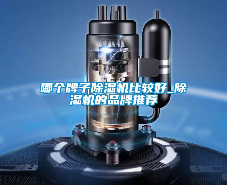 哪个牌子粉色视频免费在线观看比较好_粉色视频免费在线观看的品牌推荐