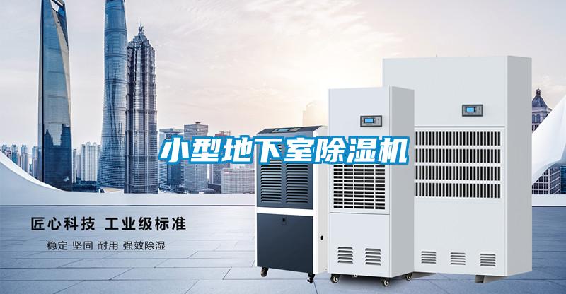 小型地下室粉色视频免费在线观看