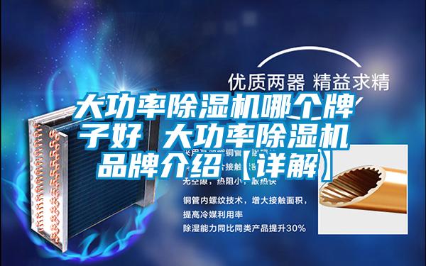 大功率粉色视频免费在线观看哪个牌子好 大功率粉色视频免费在线观看品牌介绍【详解】