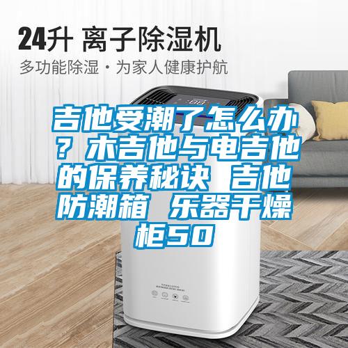 吉他受潮了怎么办？木吉他与电吉他的保养秘诀 吉他防潮箱 乐器干燥柜50