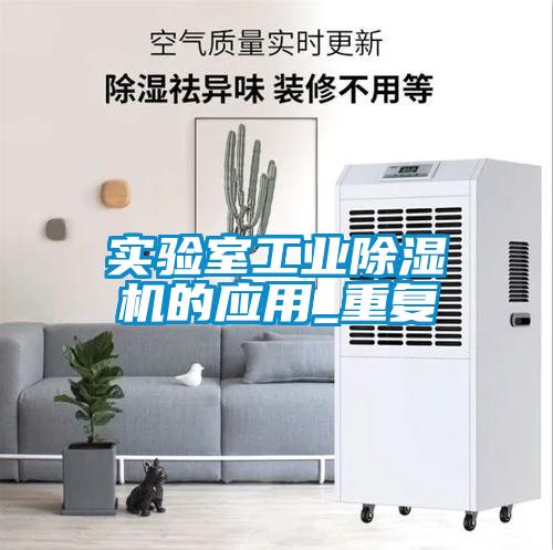 实验室工业粉色视频免费在线观看的应用_重复