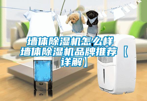 墙体粉色视频免费在线观看怎么样 墙体粉色视频免费在线观看品牌推荐【详解】