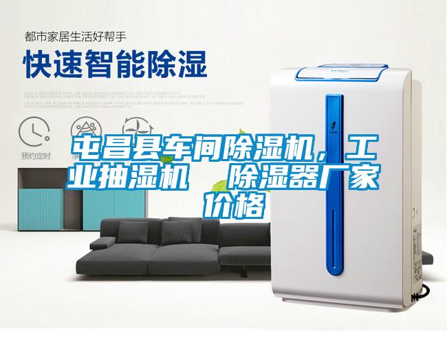 屯昌县车间粉色视频免费在线观看，工业抽湿机  除湿器厂家 价格