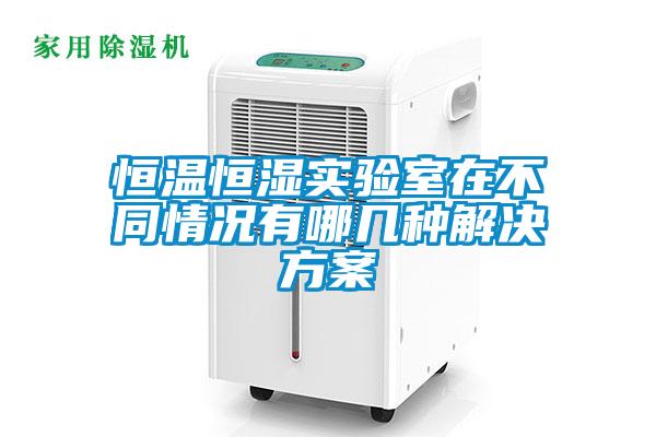 恒温恒湿实验室在不同情况有哪几种粉色视频成人