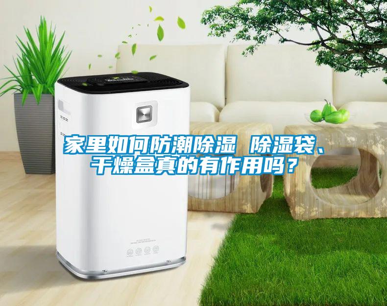 家里如何防潮除湿 除湿袋、干燥盒真的有作用吗？