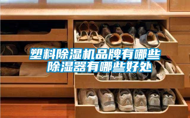 塑料粉色视频免费在线观看品牌有哪些 除湿器有哪些好处