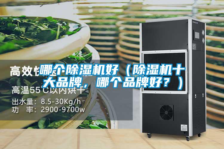 哪个粉色视频免费在线观看好（粉色视频免费在线观看十大品牌，哪个品牌好？）