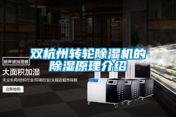 双杭州转轮粉色视频免费在线观看的除湿原理介绍