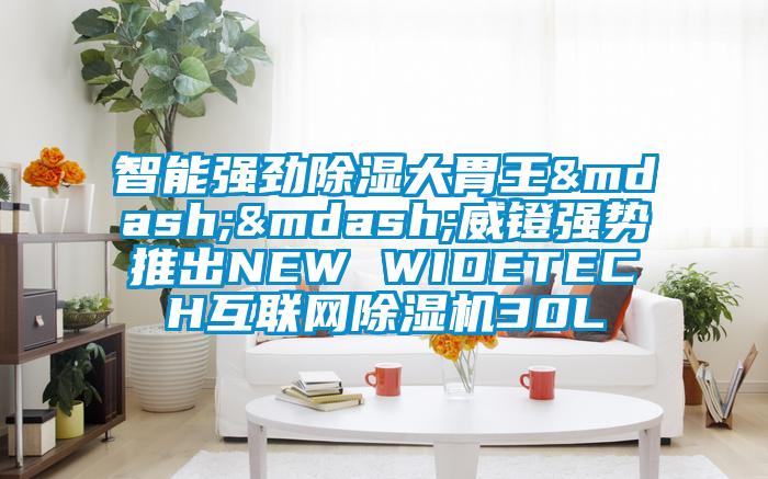 智能强劲除湿大胃王——威镫强势推出NEW WIDETECH互联网粉色视频免费在线观看30L