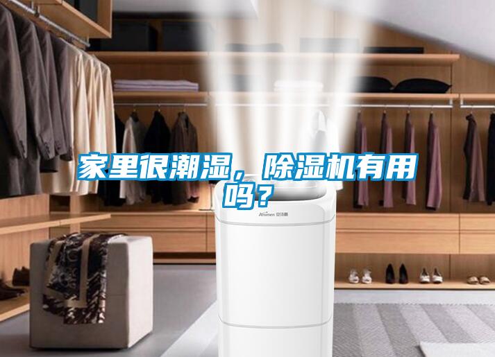 家里很潮湿，粉色视频免费在线观看有用吗？