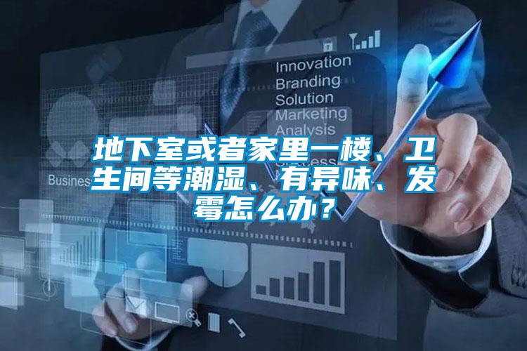 地下室或者家里一楼、卫生间等潮湿、有异味、发霉怎么办？
