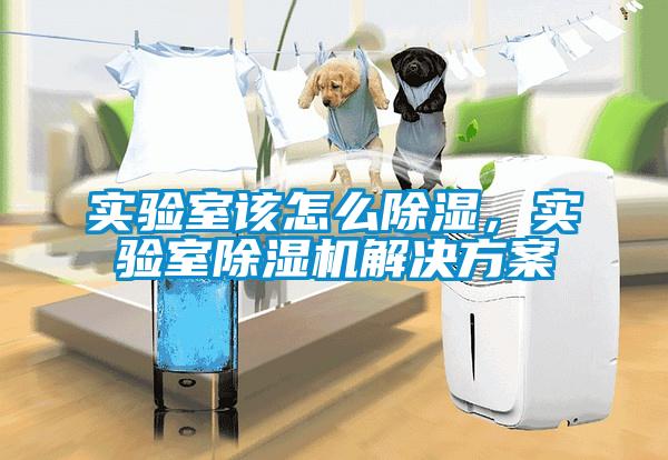 实验室该怎么除湿，实验室粉色视频免费在线观看粉色视频成人