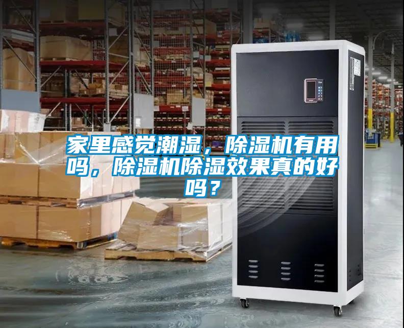 家里感觉潮湿，粉色视频免费在线观看有用吗，粉色视频免费在线观看除湿效果真的好吗？