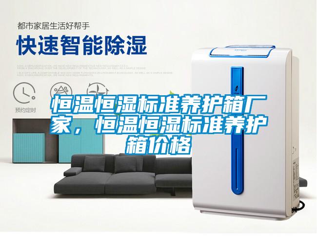 恒温恒湿标准养护箱厂家，恒温恒湿标准养护箱价格