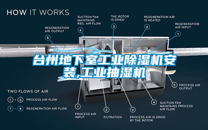 台州地下室工业粉色视频免费在线观看安装,工业抽湿机