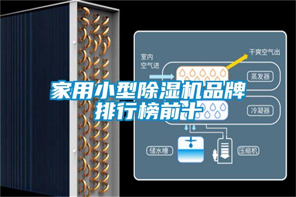 家用小型粉色视频免费在线观看品牌排行榜前十