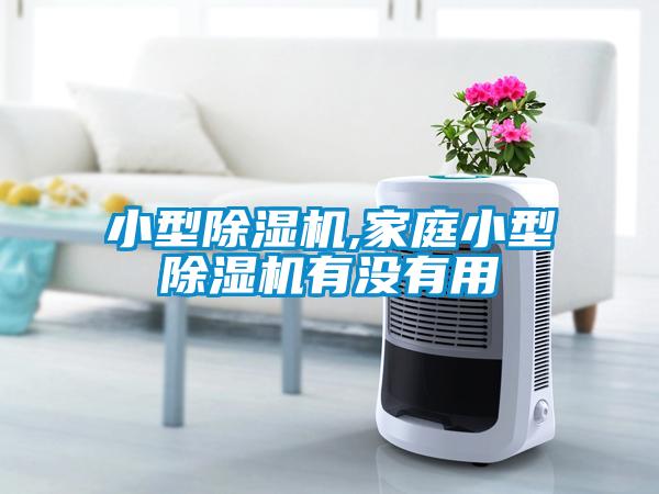 小型粉色视频免费在线观看,家庭小型粉色视频免费在线观看有没有用