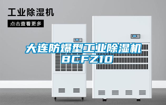 大连防爆型工业粉色视频免费在线观看 BCFZ10