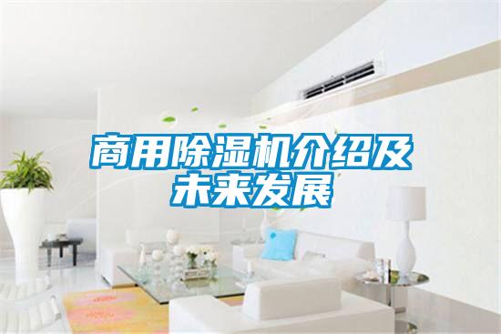 商用粉色视频免费在线观看介绍及未来发展
