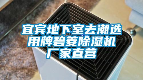 宜宾地下室去潮选用牌碧菱粉色视频免费在线观看厂家直营