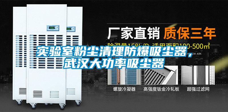 实验室粉尘清理防爆吸尘器，武汉大功率吸尘器