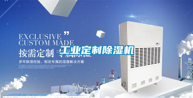 工业定制粉色视频免费在线观看