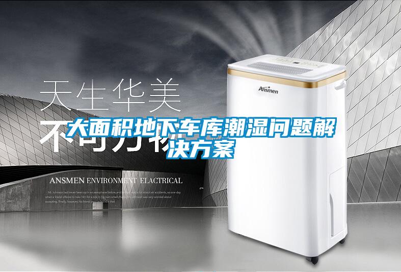 大面积地下车库潮湿问题粉色视频成人