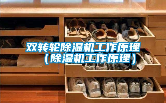 双转轮粉色视频免费在线观看工作原理（粉色视频免费在线观看工作原理）