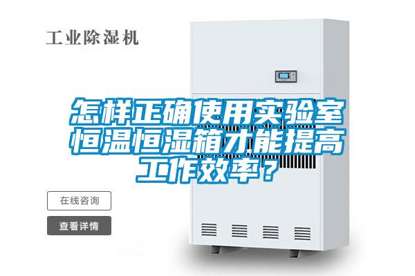 怎样正确使用实验室恒温恒湿箱才能提高工作效率？