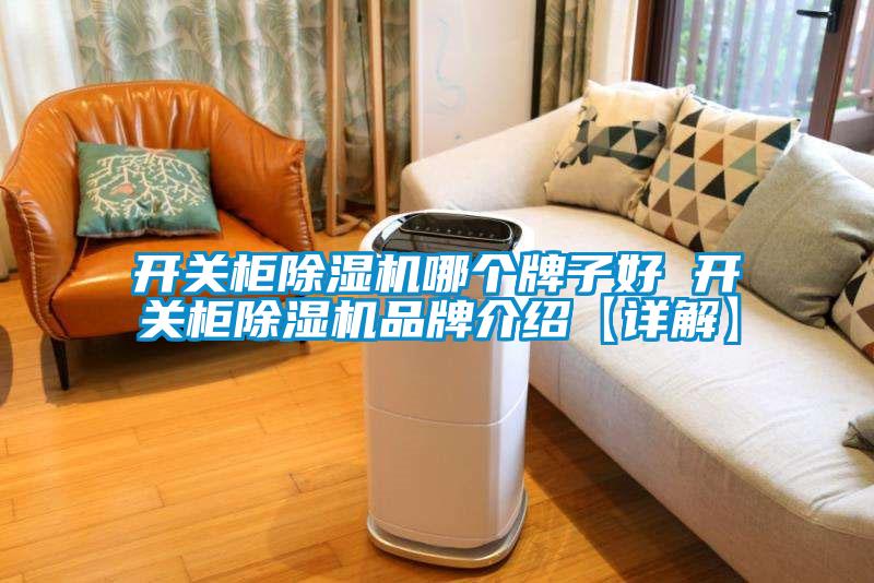 开关柜粉色视频免费在线观看哪个牌子好 开关柜粉色视频免费在线观看品牌介绍【详解】
