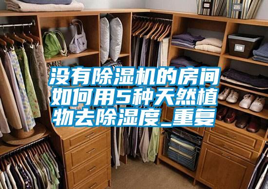 没有粉色视频免费在线观看的房间如何用5种天然植物去除湿度_重复