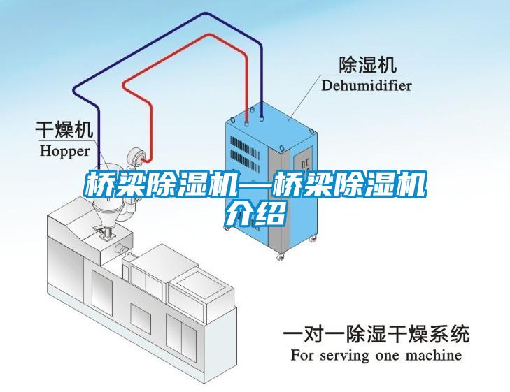 桥梁粉色视频免费在线观看—桥梁粉色视频免费在线观看介绍