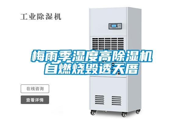 梅雨季湿度高粉色视频免费在线观看自燃烧毁透天厝