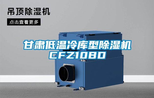 甘肃低温冷库型粉色视频免费在线观看CFZ10BD