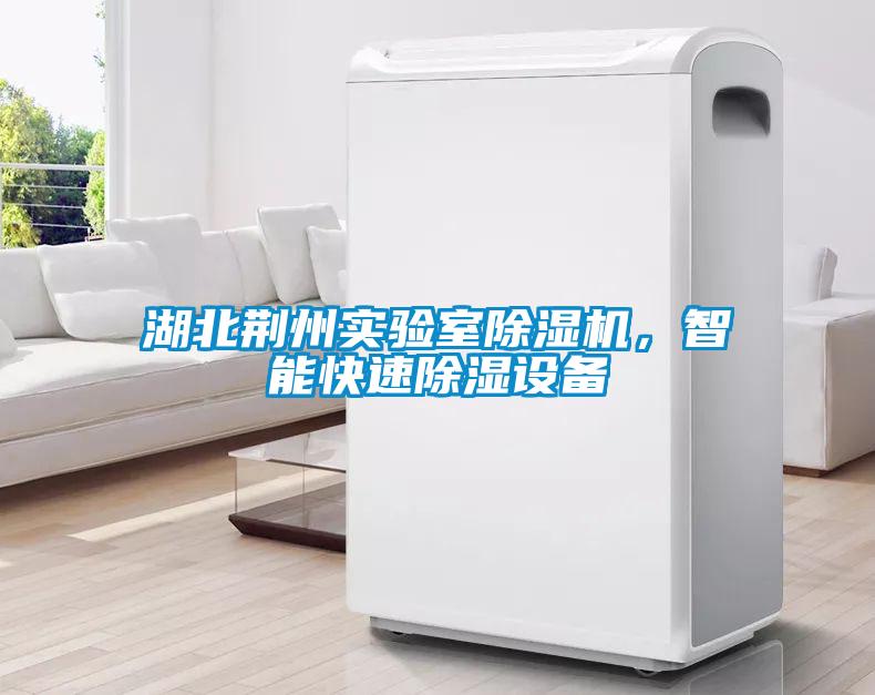 湖北荆州实验室粉色视频免费在线观看，智能快速除湿设备