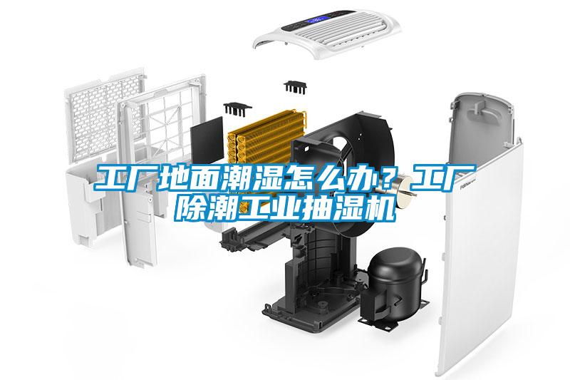 工厂地面潮湿怎么办？工厂除潮工业抽湿机