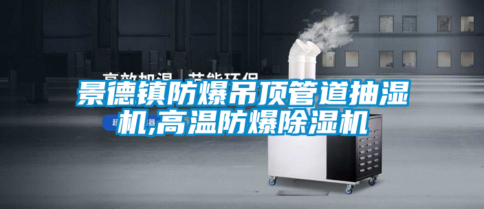 景德镇防爆吊顶管道抽湿机,高温防爆粉色视频免费在线观看