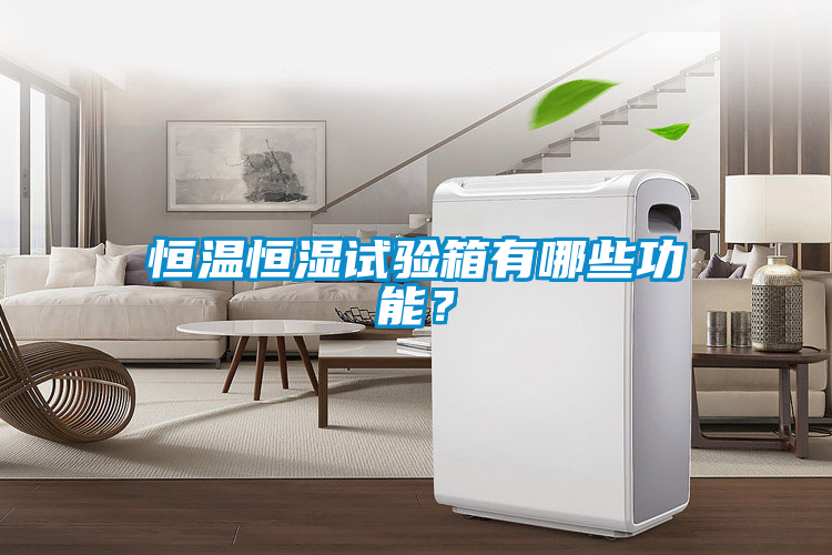 恒温恒湿试验箱有哪些功能？