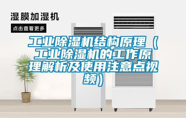 工业粉色视频免费在线观看结构原理（工业粉色视频免费在线观看的工作原理解析及使用注意点视频）
