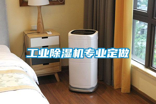 工业粉色视频免费在线观看专业定做