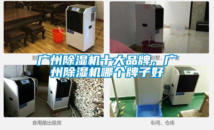 广州粉色视频免费在线观看十大品牌，广州粉色视频免费在线观看哪个牌子好