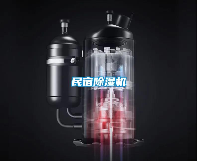 民宿粉色视频免费在线观看