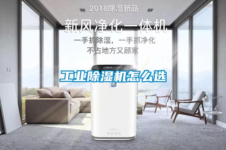 工业粉色视频免费在线观看怎么选