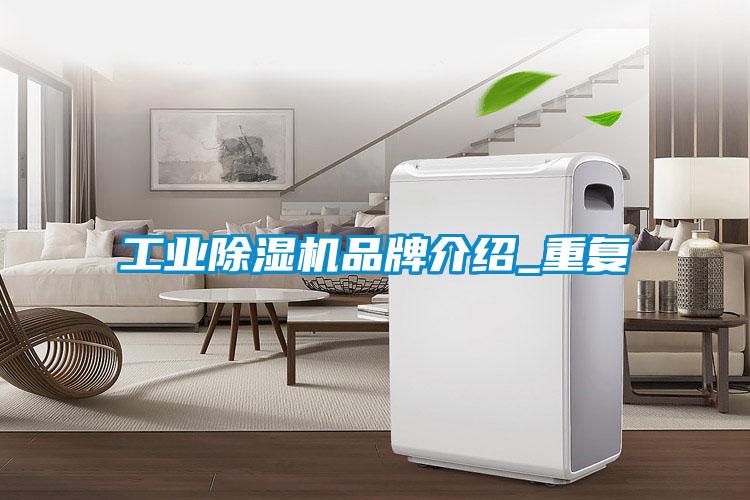 工业粉色视频免费在线观看品牌介绍_重复