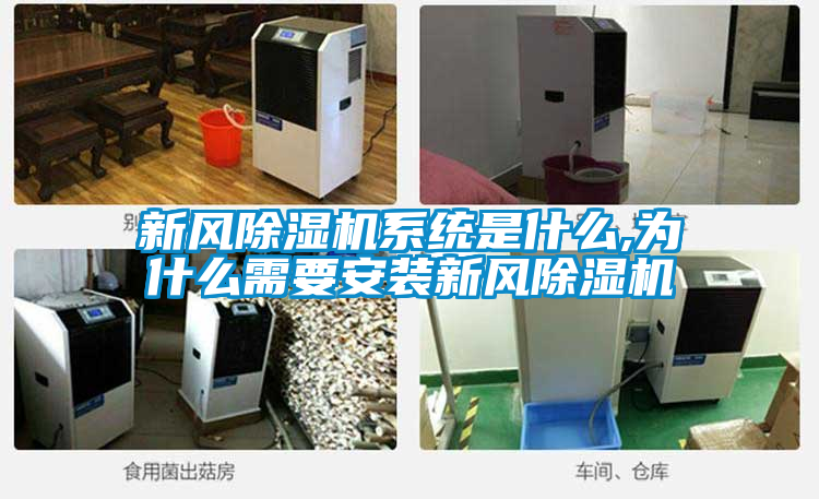 新风粉色视频免费在线观看系统是什么,为什么需要安装新风粉色视频免费在线观看