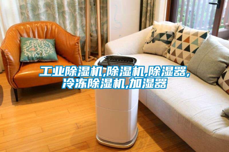 工业粉色视频免费在线观看,粉色视频免费在线观看,除湿器,冷冻粉色视频免费在线观看,加湿器